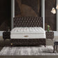 Boxspringbett QUATRO